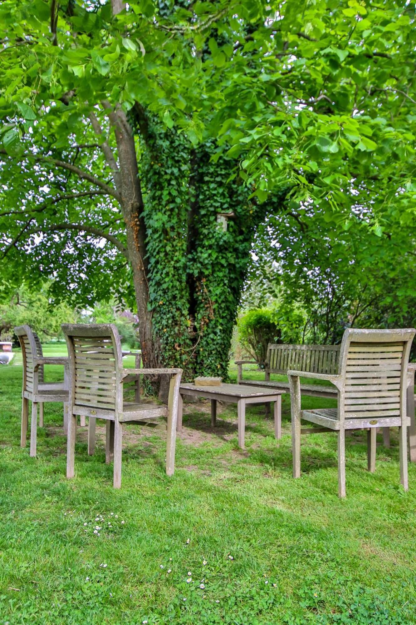 Domaine D'Aromm - Chambres D'Hotes & Gites - Piscine, Etangs & Animaux - Au Calme Ouches Екстериор снимка