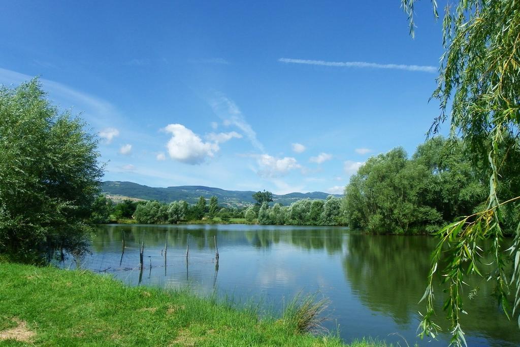 Domaine D'Aromm - Chambres D'Hotes & Gites - Piscine, Etangs & Animaux - Au Calme Ouches Екстериор снимка