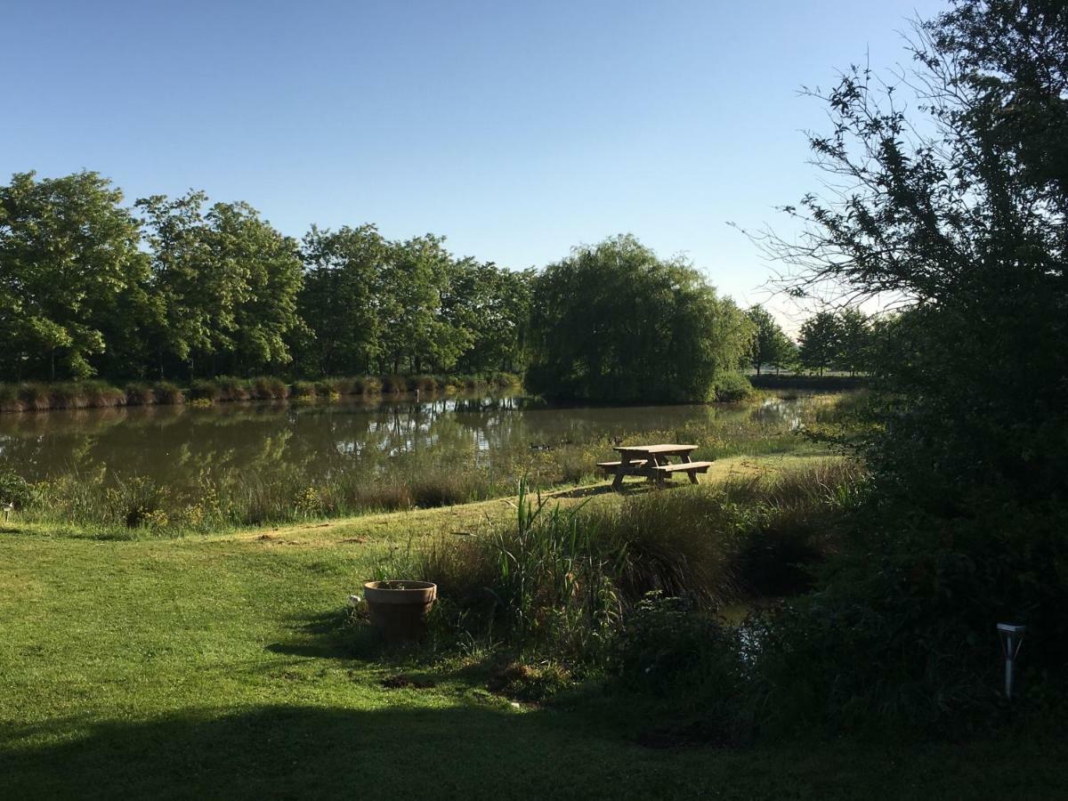 Domaine D'Aromm - Chambres D'Hotes & Gites - Piscine, Etangs & Animaux - Au Calme Ouches Екстериор снимка